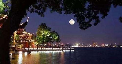 平湖秋月爆料最新消息新闻,最新热点新闻揭秘